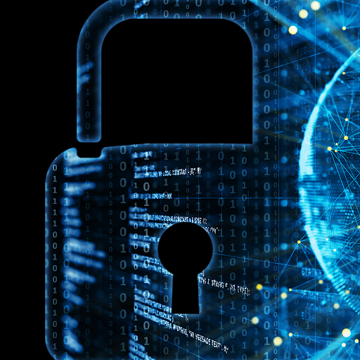 Shield Support Cyber Security Team